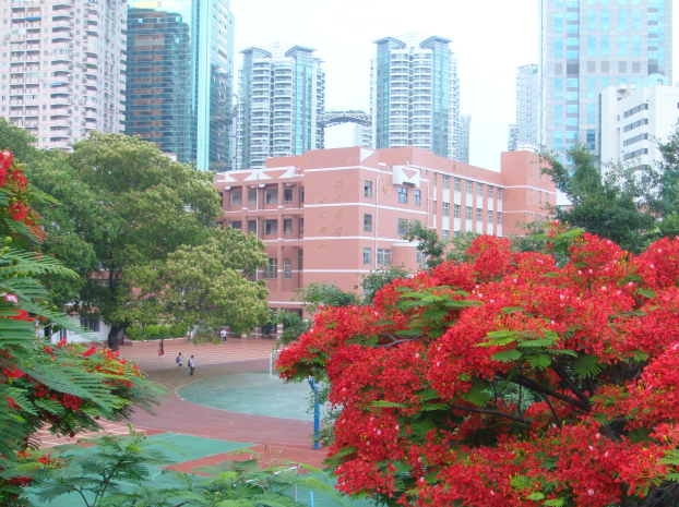 廈門大同小學(xué)怎么報(bào)名？廈門大同小學(xué)<a href=http://www.yanshanchina.com/rxgl/ target=_blank class=infotextkey>入學(xué)</a>條件有哪些？